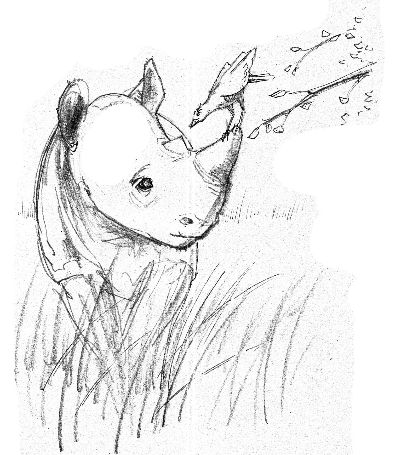 Ogres Of Greed Childrens Book Rhino Poaching Kariega Game Reserve (3)