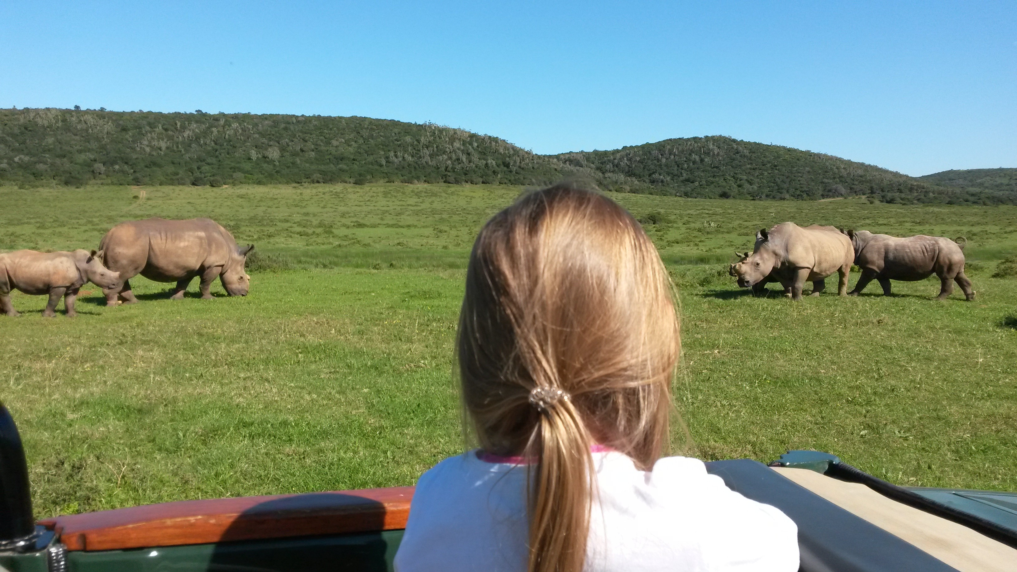 children enjoying rhino sighting at kariega