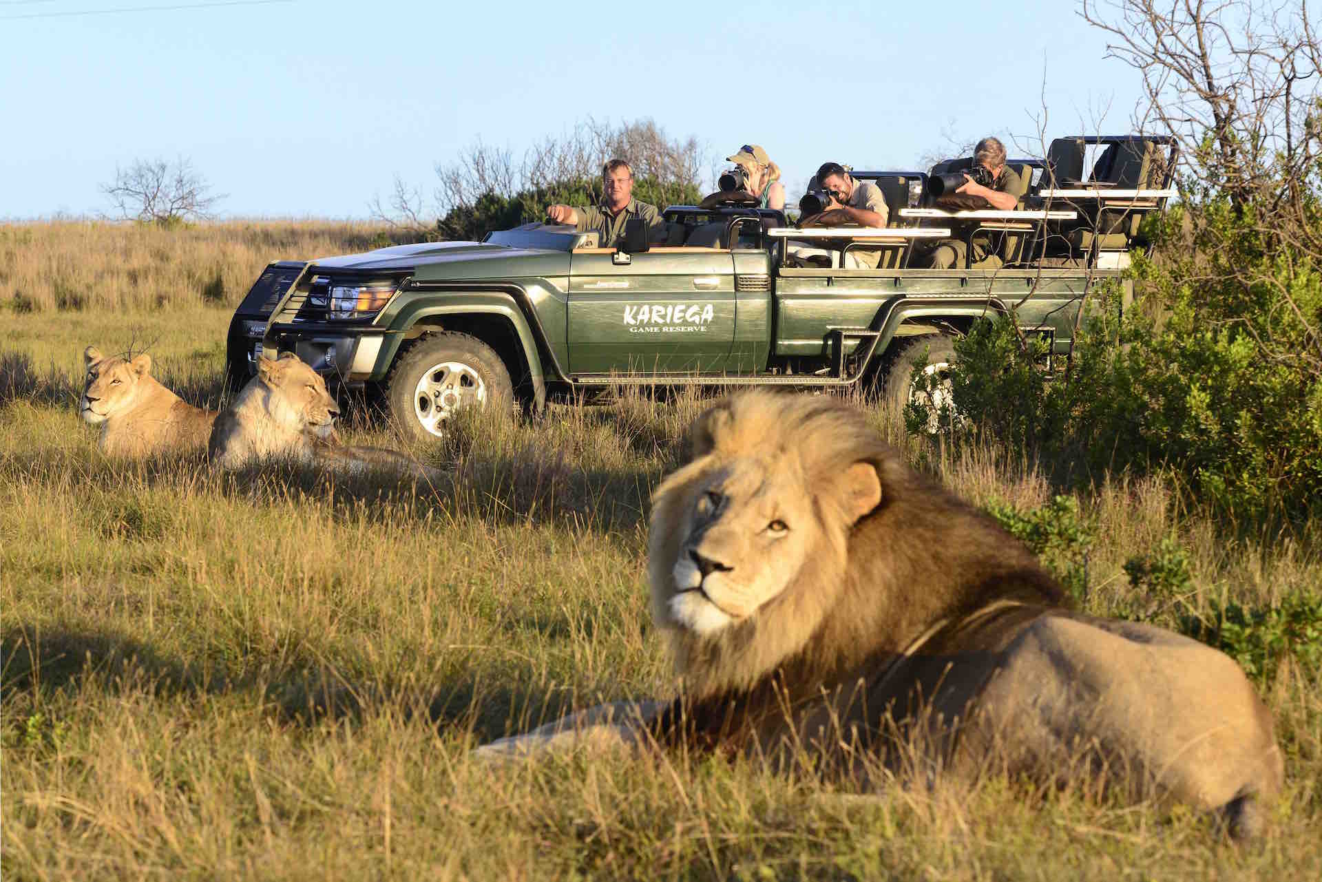 Kariega Game Drive with Lions
