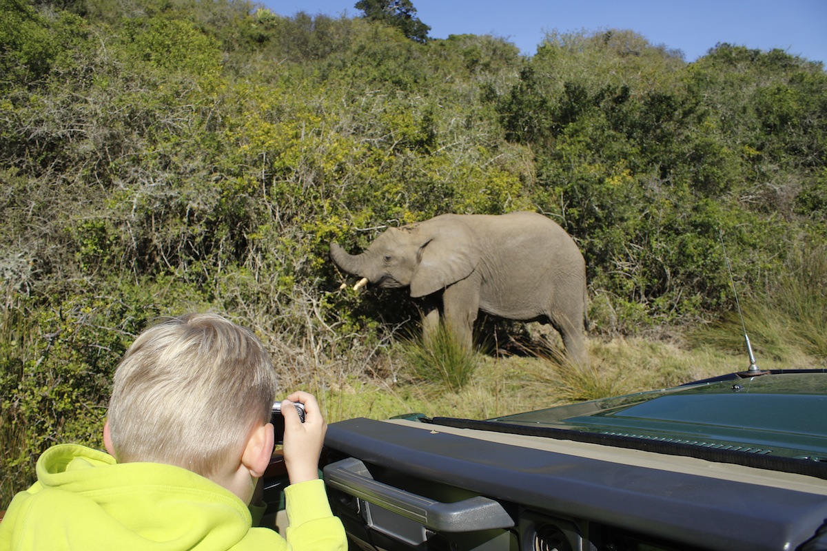 Kids on Kariega Safari