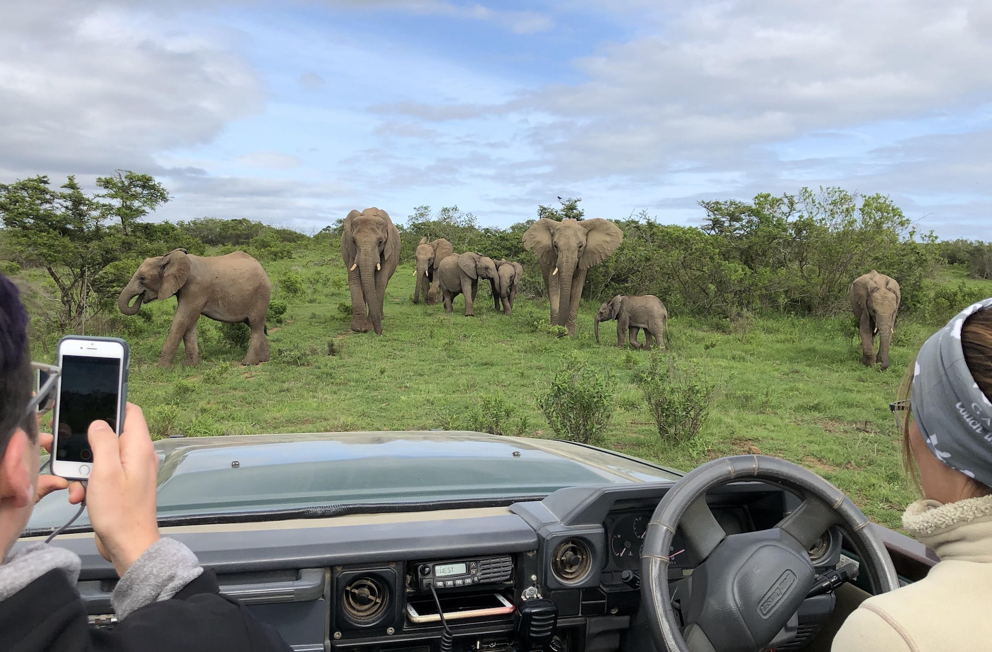 USA Guest Shares Elephant Safari Experience