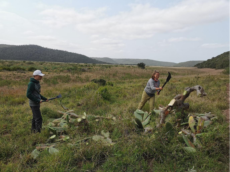 Kariega Volunteers clearing alien vegetation