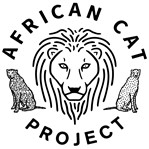 African Cat Project