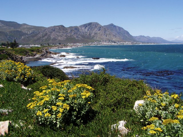 Hermanus Beach