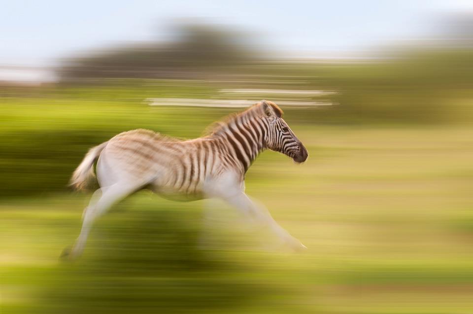546786 495216783842526 2067366787 N