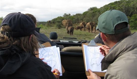 Kariega elephant monitoring.JPG