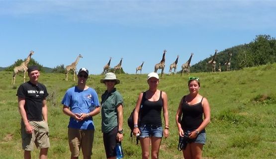 Kariega game reserve giraffe volunteers.JPG