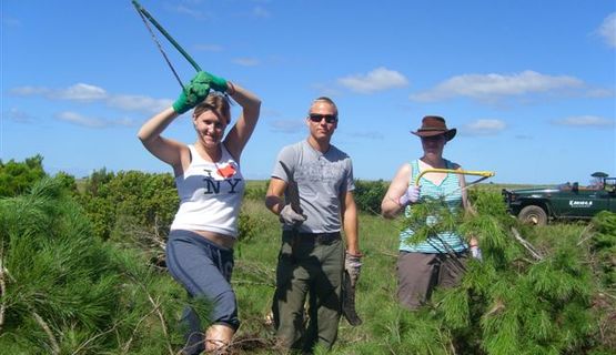 Kariega Volunteers alien clearing.JPG