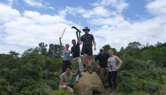 Kariega Volunteers Anthill.JPG