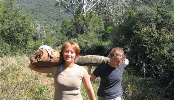 Kariega Volunteers Removing fences.jpg