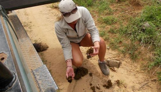 conservation volunteer bush skills kariega game reserve 2013 (2).jpg