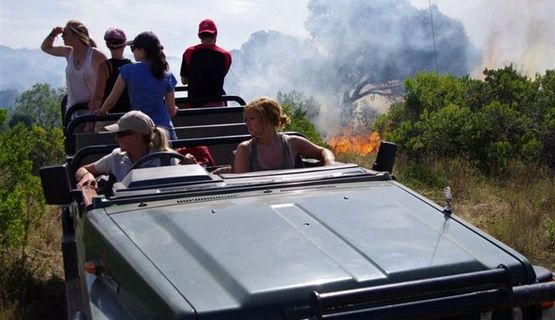 conservation volunteer habitat management kariega game reserve 2013 (3).jpg