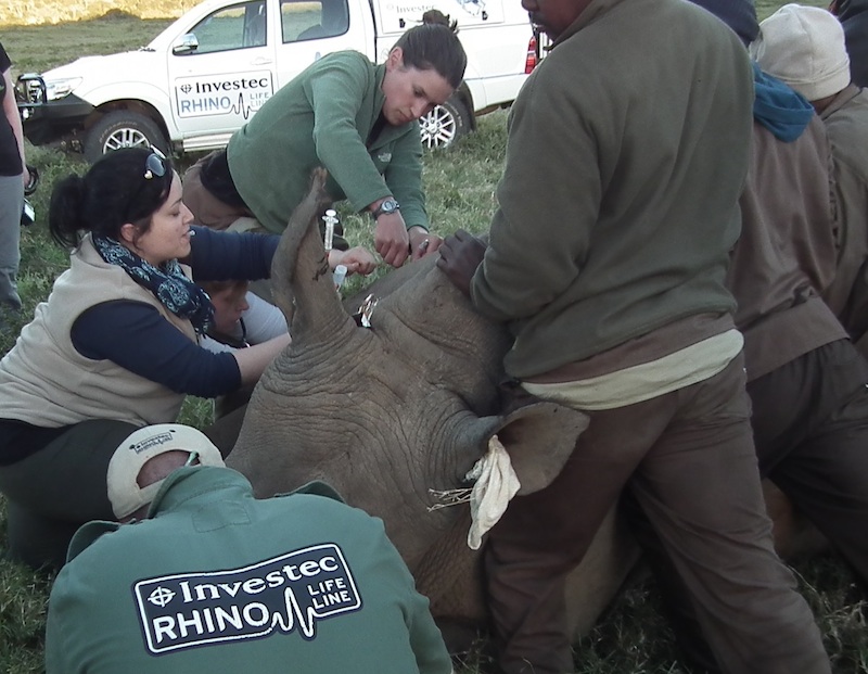 Thandi Face Injury June2013