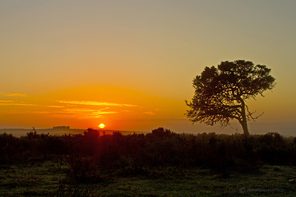 Sunset 2 Kariega Game Reserve Eastern Cape M Price   Copy