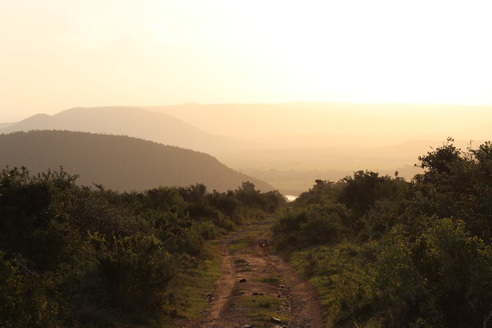 Sunset Kariega Game Reserve Eastern Cape