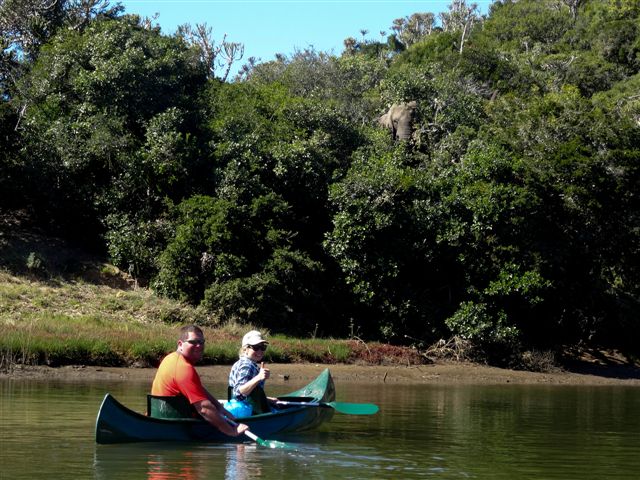 Kariega Game Reserve Conservation Volunteer Programme August 2013 (3)