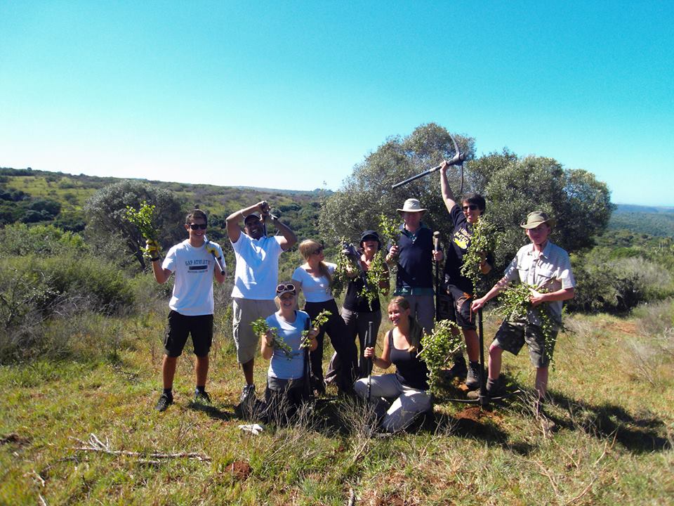 Arbor Week Kariega Game Reserve Volunteers Eastern Cape1