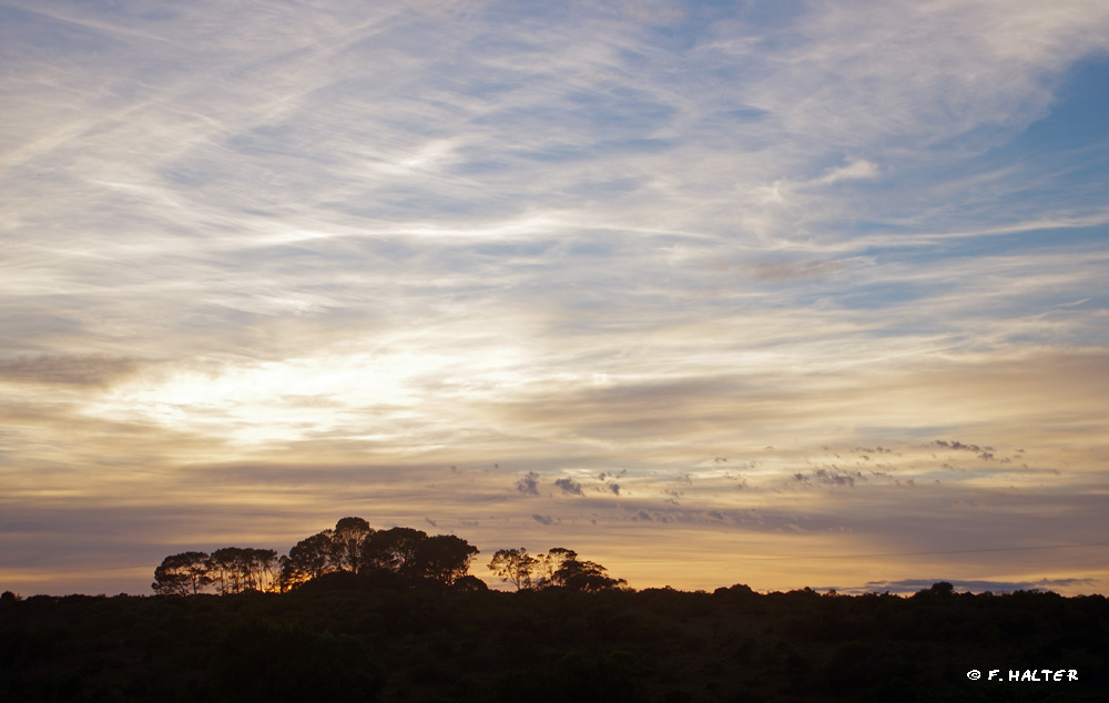 Kariega Game Reserve Wildlife Photo F Halter (12)