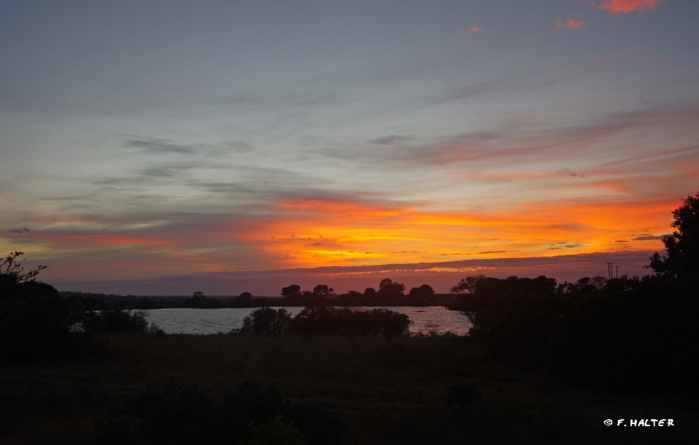 Kariega Game Reserve Wildlife Photo F Halter (14)