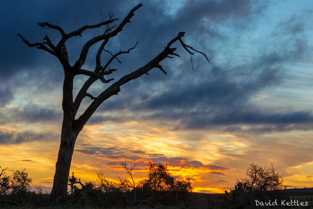 Photo Safari Kariega Game Reserve Sunset