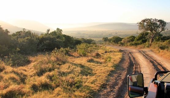 Kariega Game Reserve Eastern Cape safari wildlife K Cetkowska (13).jpg