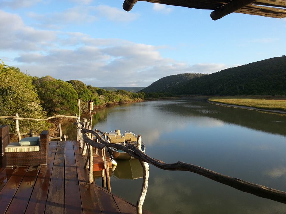 Guest Review Kariega Game Reserve Eastern Cape November  (1)