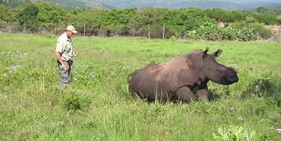 themba 2 march 2012 poaching kariega game reserve  (7).jpg