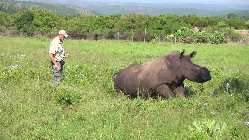themba 2 march 2012 poaching kariega game reserve (7).jpg
