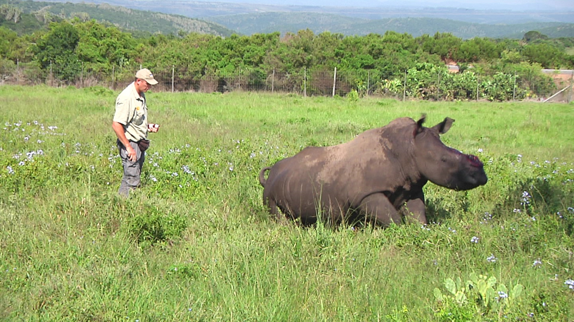 Themba 2 March 2012 Poaching Kariega Game Reserve  (7)