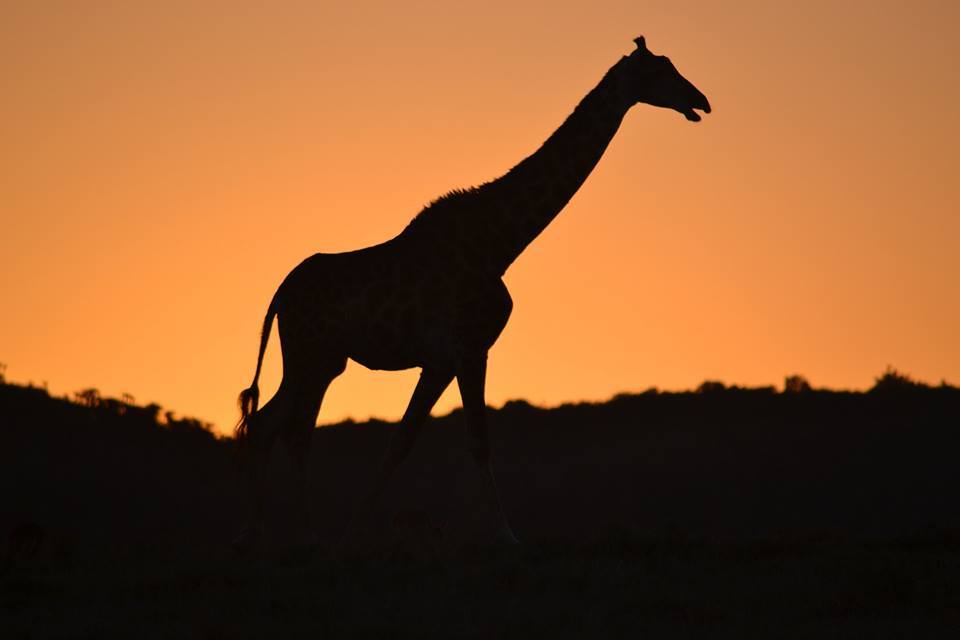 Kariega Sunrise Sunset Margaret Lawson