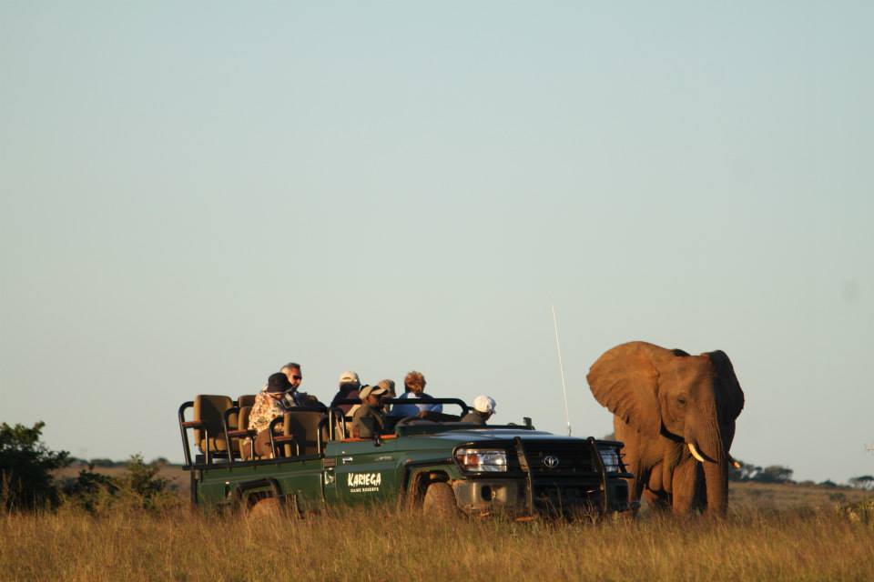 Kariega Elephant Dtent