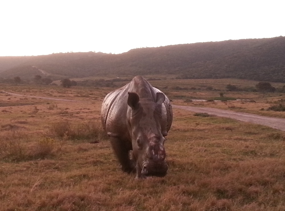 Thandi Mud2 Kariega T Mc June2014