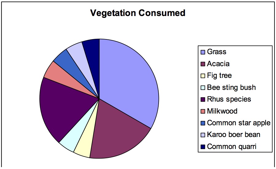 Kariega Elephant Diet June2014