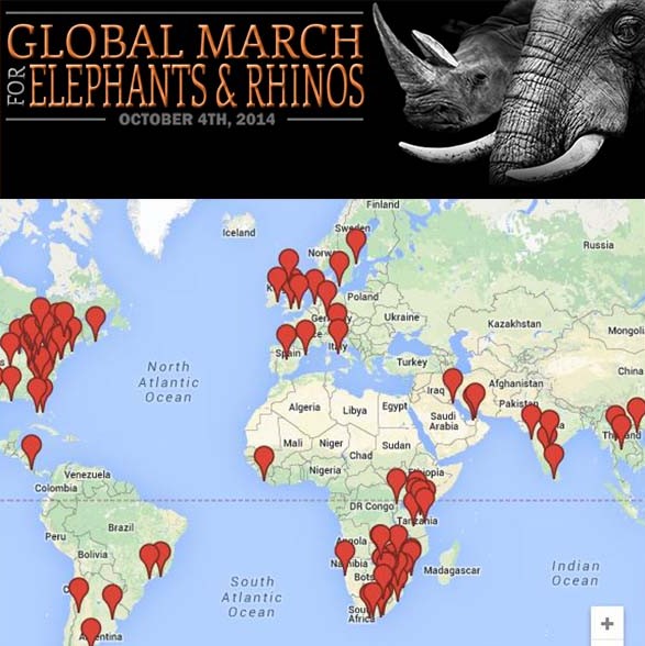 Global March For Elephants And Rhino Kariega Game Reserve Conservation