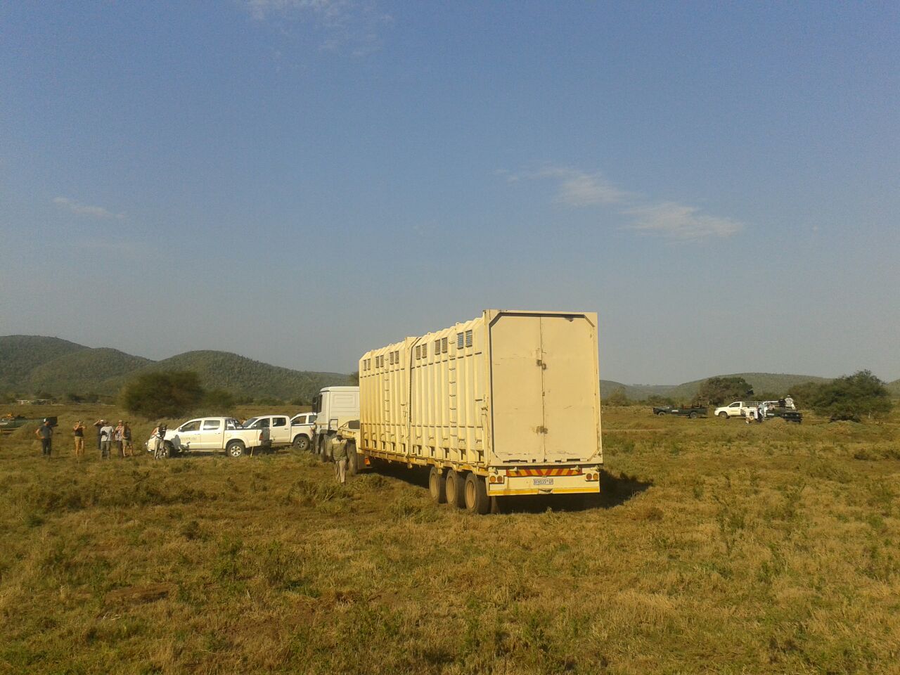 Kariega Elephant Release Sept2014