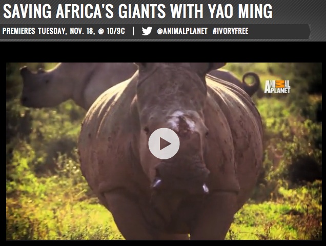 Saving Africas Giants Thandi