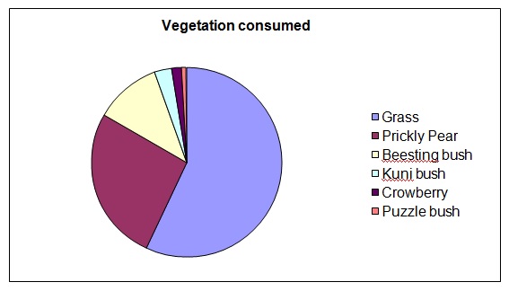 Kariega Elephant Vegetation March2015