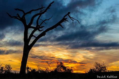 Kariega Sunset by David Kettles