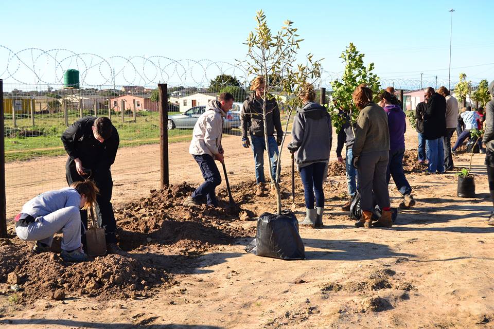 Kariega Conservation Volunteers plant trees on Mandela Day