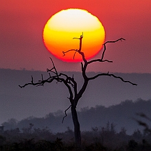 UK Wildlife Photographer Stephen Tattersall Sunset