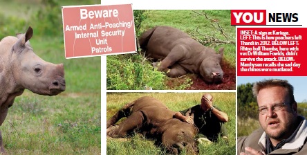 Rhino poaching survivor Thandi in You magazine