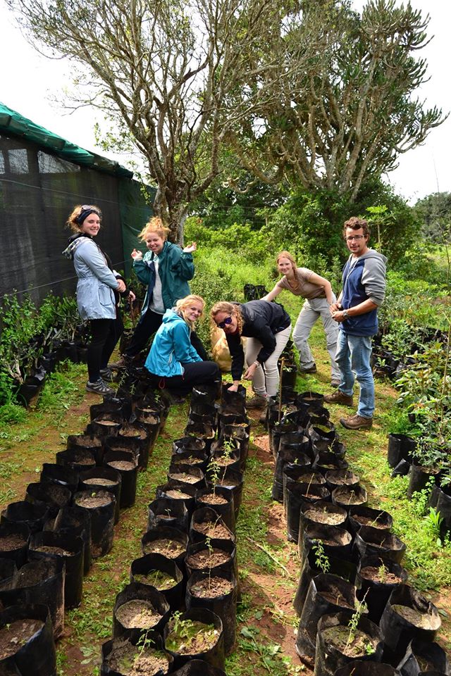 arbor week at kariega september 2015