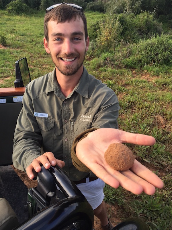 Game Ranger Louis Dung Beetle Ball