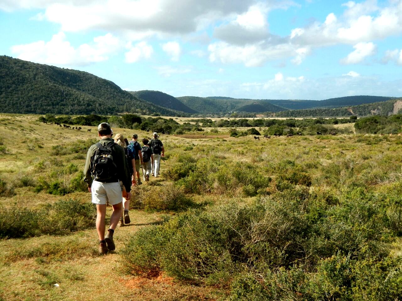 guided safari walk at Kariega Game Reserve