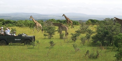 Game_viewing_Kariega_web.JPG