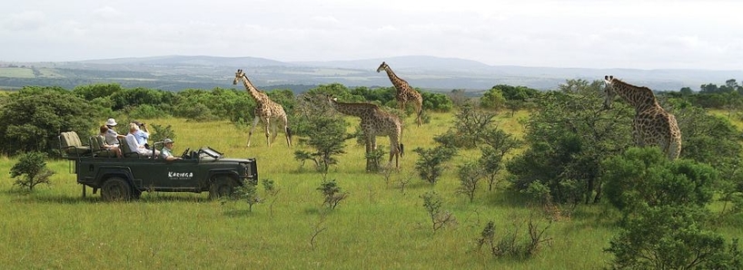 Game_viewing_Kariega_web.JPG