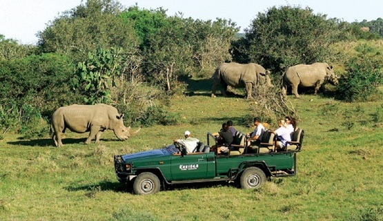 game-drive-viewing-rhino.jpg