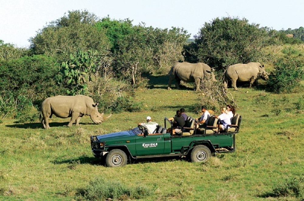 rhino while on safari game drive