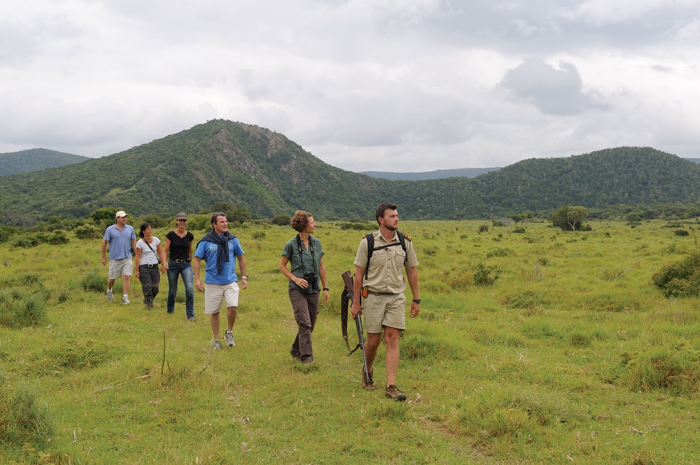 Guided Bush Walks Guided Bush Walks