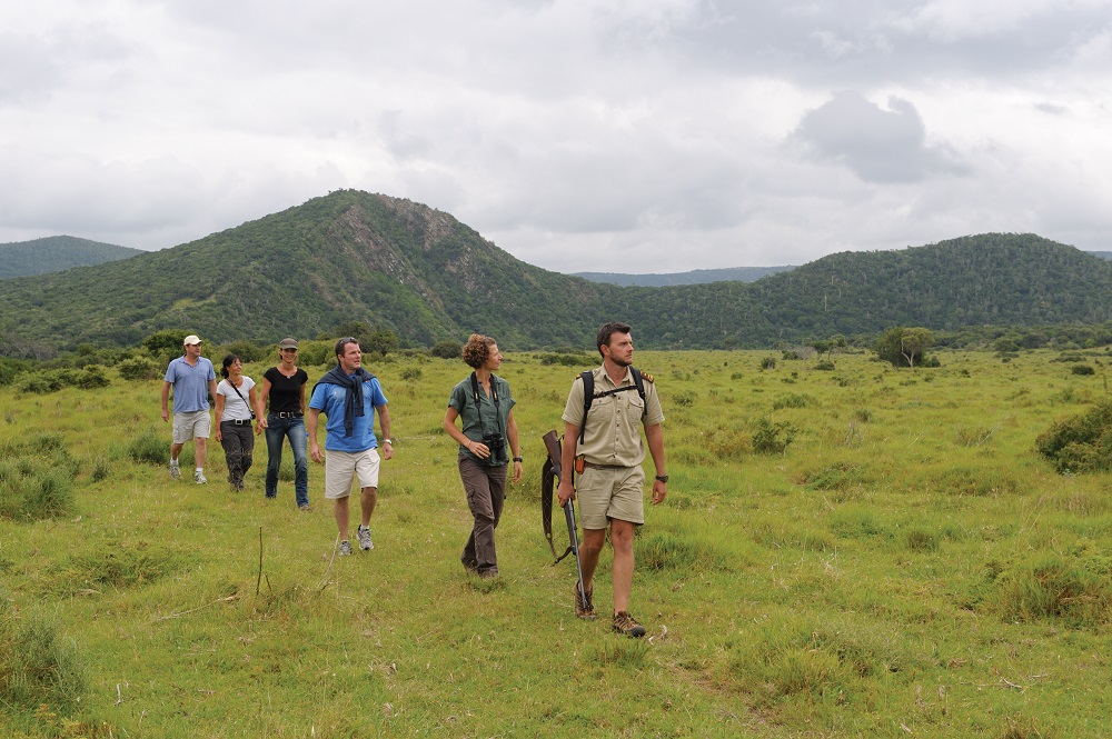 Guided Bush Walks